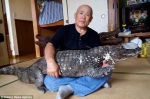 زندگی بی خطر یک مرد ژاپنی با حیوان خطرناک!